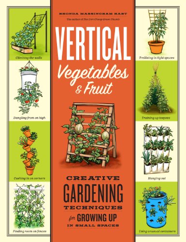 Stock image for Vertical Vegetables Fruit: Creative Gardening Techniques for Growing Up in Small Spaces for sale by Goodwill Books