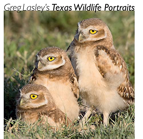 9781603440578: Greg Lasley’s Texas Wildlife Portraits (Volume 42) (Louise Lindsey Merrick Natural Environment Series)