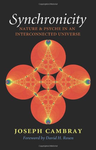 Beispielbild fr Synchronicity, Nature and Psyche in an Interconnected Universe zum Verkauf von COLLINS BOOKS