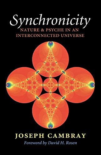 Beispielbild fr Synchronicity: Nature and Psyche in an Interconnected Universe (Volume 15) (Carolyn and Ernest Fay Series in Analytical Psychology) [Paperback] Cambray, Joseph and Rosen, David H. zum Verkauf von Lakeside Books