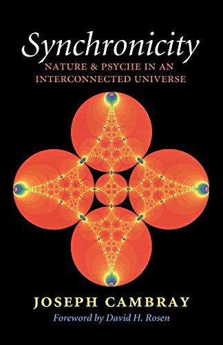 Imagen de archivo de Synchronicity Nature and Psyche in an Interconnected Universe Carolyn and Ernest Fay Series in Analytical Psychology 15 a la venta por PBShop.store US