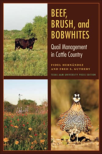 Stock image for Beef, Brush, and Bobwhites: Quail Management in Cattle Country (Perspectives on South Texas, sponsored by Texas A&M University-Kingsville) for sale by SecondSale