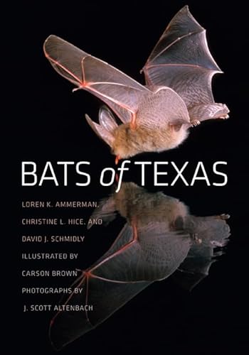 Beispielbild fr Bats of Texas (W. L. Moody Jr. Natural History Series) zum Verkauf von Ergodebooks