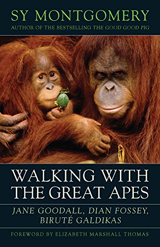 Stock image for Walking with the Great Apes : Jane Goodall, Dian Fossey, Birut Galdikas for sale by Better World Books