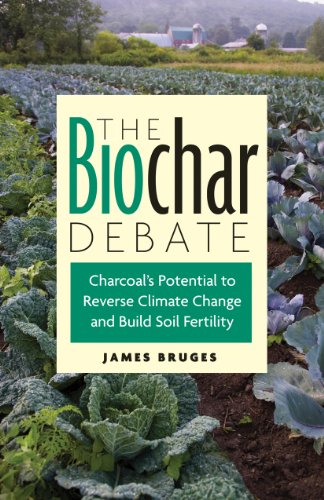 Stock image for The Biochar Debate: Charcoal's Potential to Reverse Climate Change and Build Soil Fertility (Schumacher Briefings) for sale by HPB Inc.