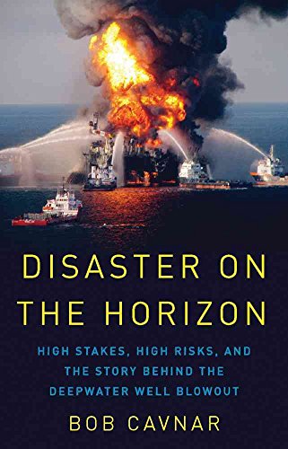 Stock image for Disaster on the Horizon: High Stakes, High Risks, and the Story Behind the Deepwater Well Blowout for sale by SecondSale