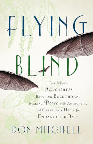 Stock image for Flying Blind : One Man's Adventures Battling Buckthorn, Making Peace with Authority, and Creating a Home for Endangered Bats for sale by Better World Books