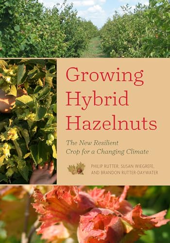 Growing Hybrid Hazelnuts: The New Resilient Crop for a Changing C limate