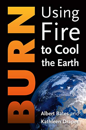 Stock image for Burn: Igniting a New Carbon Drawdown Economy to End the Climate Crisis for sale by Irish Booksellers
