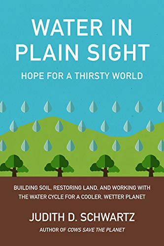 Beispielbild fr Water in Plain Sight zum Verkauf von Blackwell's