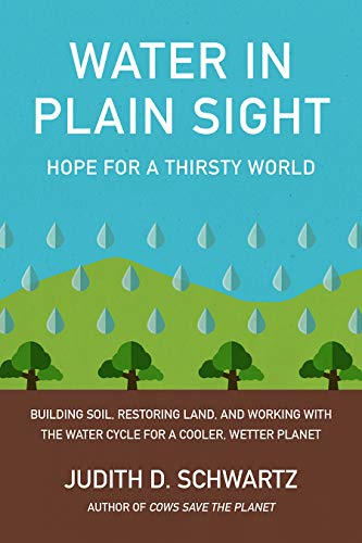 Stock image for Water in Plain Sight: Hope for a Thirsty World for sale by Scout's Shelf