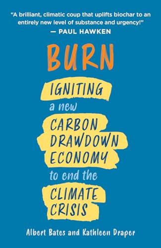 Stock image for Burn: Igniting a New Carbon Drawdown Economy to End the Climate Crisis for sale by HPB Inc.