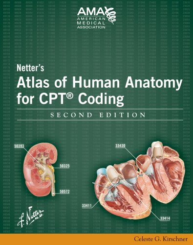 Beispielbild fr Netter's Atlas of Human Anatomy for CPT Coding, Second Edition zum Verkauf von HPB-Red