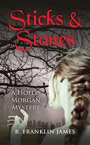 9781603819190: Sticks & Stones: 2 (Hollis Morgan Mystery)