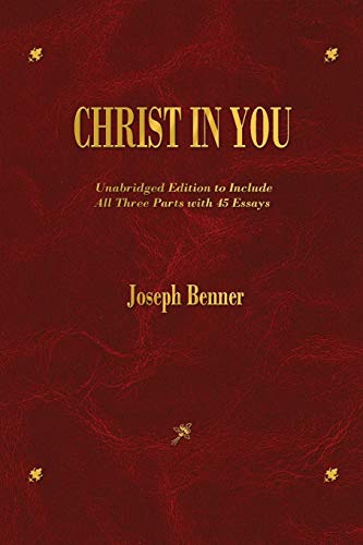 Beispielbild fr Christ In You zum Verkauf von Wonder Book