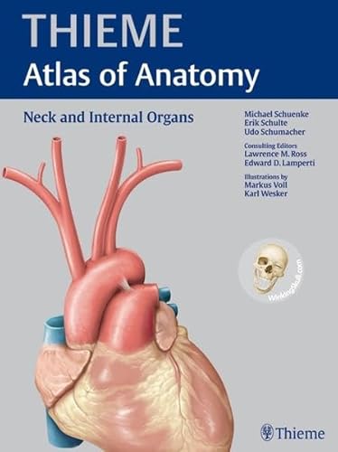 Stock image for Neck and Internal Organs (THIEME Atlas of Anatomy) for sale by SecondSale