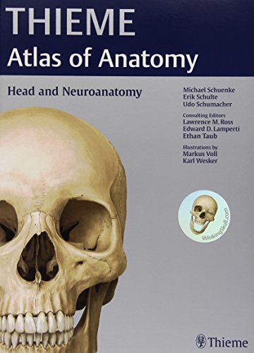 Beispielbild fr Head and Neuroanatomy (THIEME Atlas of Anatomy) zum Verkauf von Better World Books