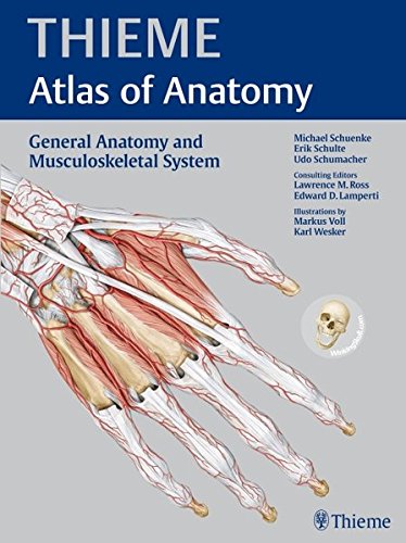 Beispielbild fr General Anatomy and Musculoskeletal System (THIEME Atlas of Anatomy) zum Verkauf von BooksRun
