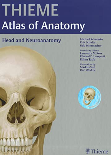 Stock image for Head and Neuroanatomy (THIEME Atlas of Anatomy) for sale by SecondSale