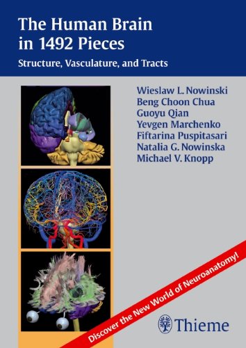 9781604065510: The Human Brain in 1492 Pieces: Structures, Vasculature and Tracts