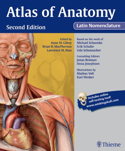 Stock image for Atlas of Anatomy Latin Nomenclature for sale by Irish Booksellers