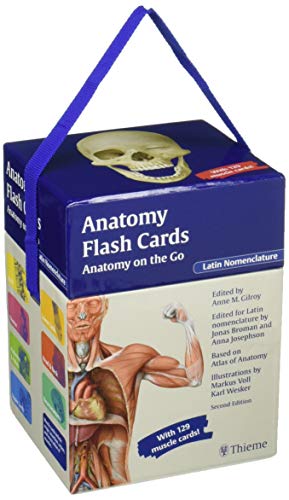 Imagen de archivo de Anatomy Flash Cards: Anatomy on the Go, second edition, Latin Nomenclature a la venta por HPB-Red