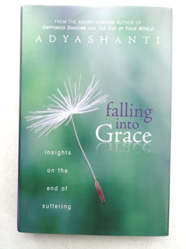 Beispielbild fr Falling into Grace : Insights on the End of Suffering zum Verkauf von Better World Books