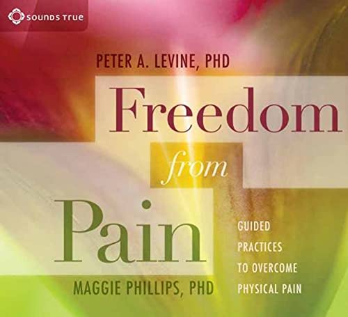 Beispielbild für Freedom from Pain: Guided Practices to Overcome Physical Pain zum Verkauf von GoldBooks
