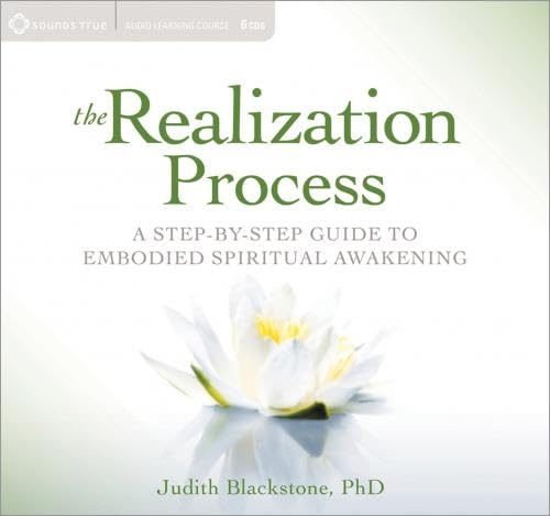 Stock image for The Realization Process: A Step-by-Step Guide to Embodied Spiritual Awakening for sale by HPB-Emerald
