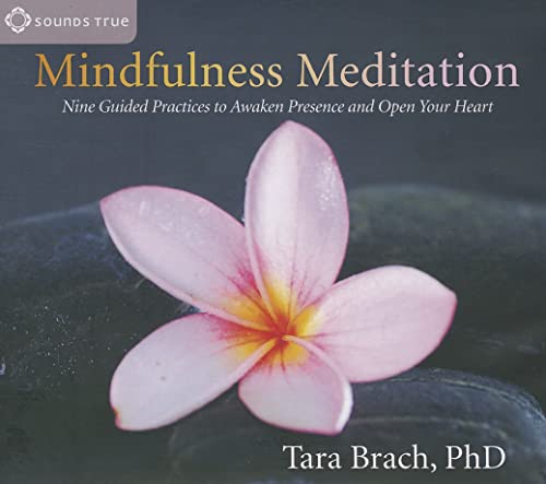 Imagen de archivo de Mindfulness Meditation: Nine Guided Practices to Awaken Presence and Open Your Heart a la venta por Austin Goodwill 1101