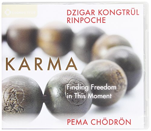 Beispielbild fr Karma: Finding Freedom in This Moment zum Verkauf von HPB Inc.