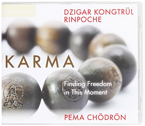 Imagen de archivo de Karma: Finding Freedom in This Moment a la venta por HPB Inc.