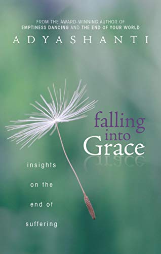 Beispielbild fr Falling into Grace: Insights on the End of Suffering zum Verkauf von Goodwill of Colorado