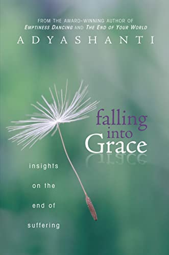 9781604079371: FALLING INTO GRACE: Insights on the End of Suffering