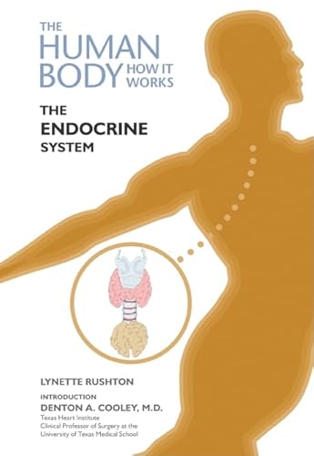 Stock image for The Endocrine System (The Human Body-How It Works) for sale by Ergodebooks