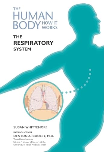 Stock image for The Respiratory System (Human Body: How It Works) for sale by More Than Words