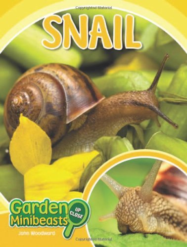 9781604139006: Snail (Garden Minibeasts Up Close)