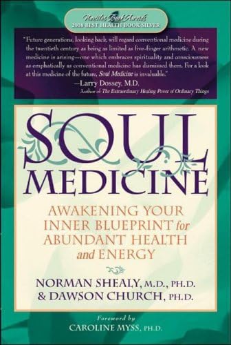 Imagen de archivo de SOUL MEDICINE: AWAKENING YOUR INNER BLUEPRINT FOR ABUNDANT HEALTH AND ENERGY a la venta por WONDERFUL BOOKS BY MAIL