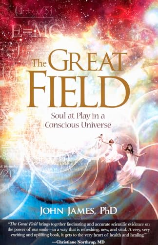 Beispielbild fr The Great Field: Soul at Play in the Conscious Universe zum Verkauf von SecondSale