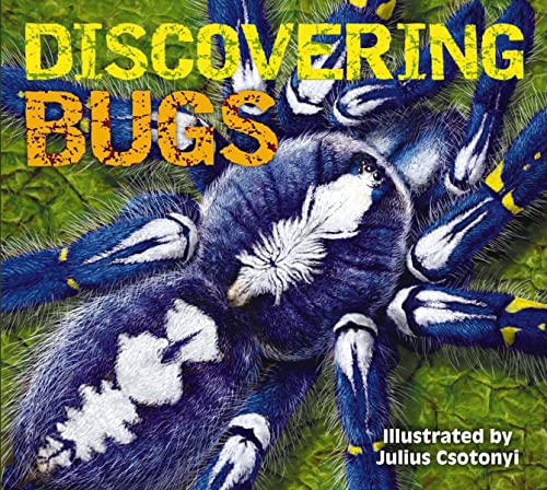 Imagen de archivo de Discovering Bugs : Meet the Coolest Creepy Crawlies on the Planet a la venta por Better World Books