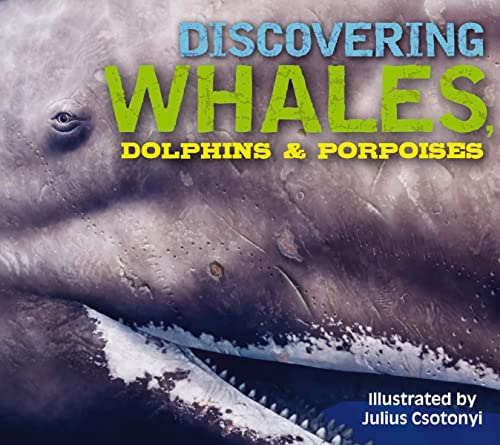 Stock image for Discovering Whales, Dolphins and Porpoises: The Ultimate Guide to the Ocean's Largest Mammals for sale by HPB-Diamond