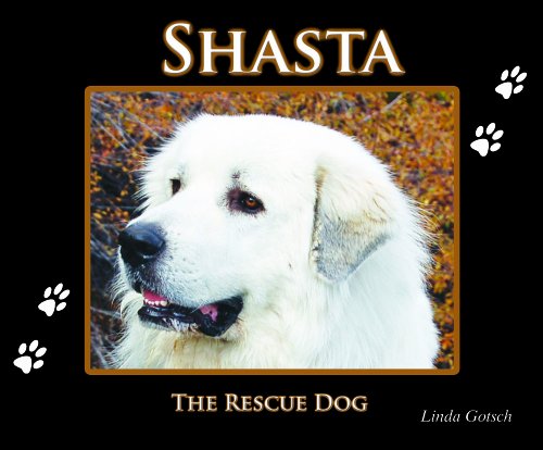 Beispielbild fr Shasta The Rescue Dog zum Verkauf von Revaluation Books
