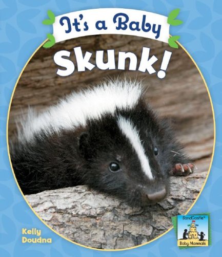 Beispielbild fr It's a Baby Skunk! zum Verkauf von Better World Books