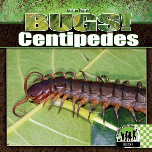 Stock image for Centipedes (Bugs!) for sale by SecondSale