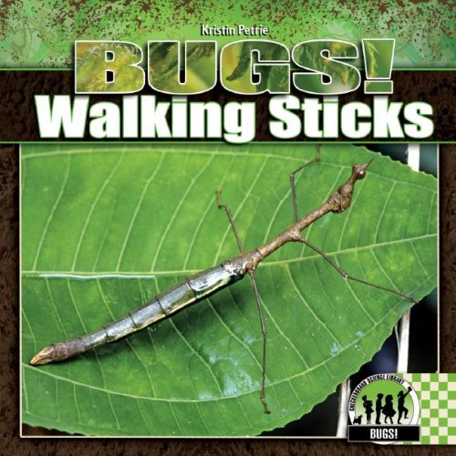 Beispielbild fr Walking Sticks zum Verkauf von Better World Books: West