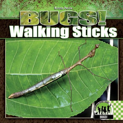 Imagen de archivo de Walking Sticks a la venta por Better World Books: West