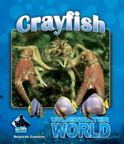 Stock image for Crayfish for sale by Better World Books