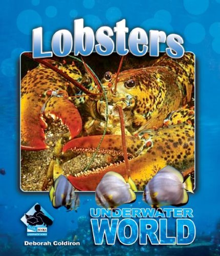 Stock image for Lobsters for sale by ThriftBooks-Dallas