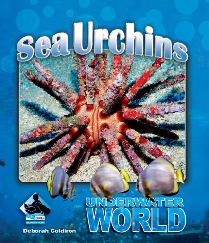 Stock image for Sea Urchins (Underwater World Set II) for sale by Half Price Books Inc.