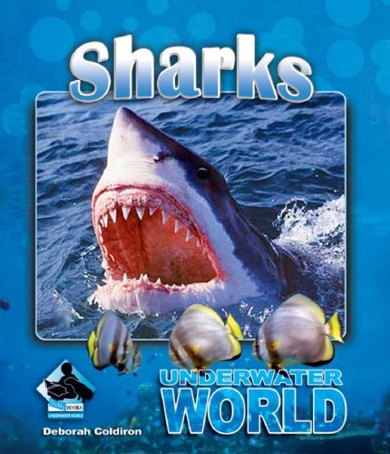 Stock image for Sharks (Underwater World) for sale by SecondSale